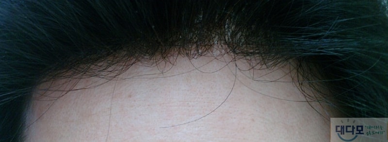 P120308010-.jpg