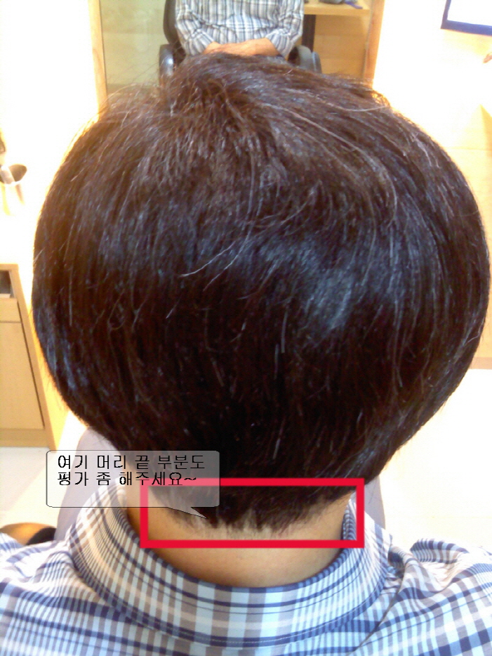 wig2.jpg