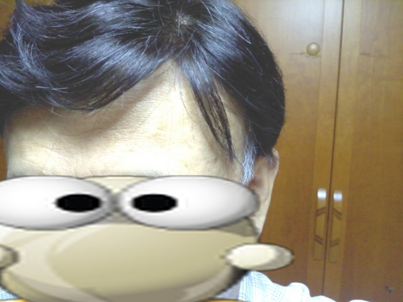 wig5.jpg