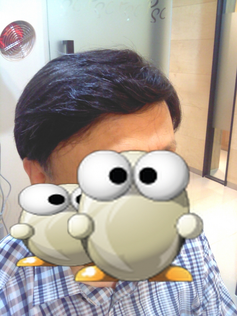 wig6.jpg