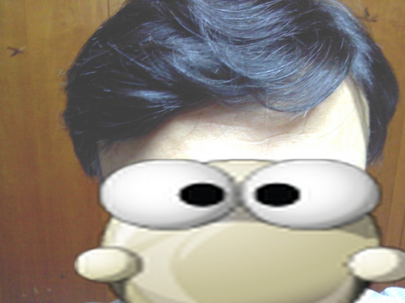 wig3.jpg