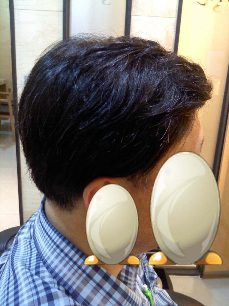 wig1.jpg