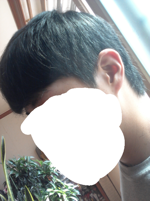 IMG_20130808_2.png