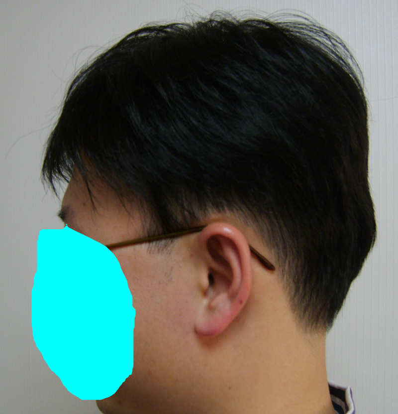 sample1.jpg
