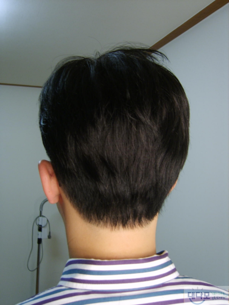 XL801097.JPG