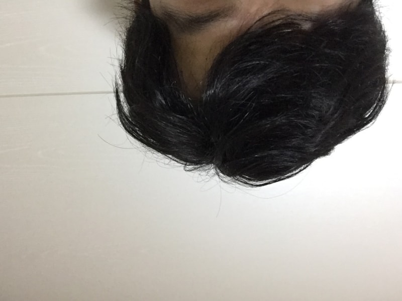 111111.JPG
