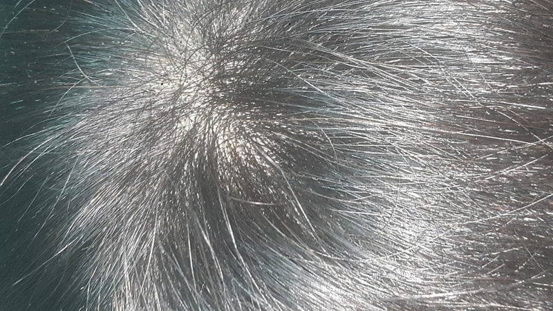 20190220_212621.jpg