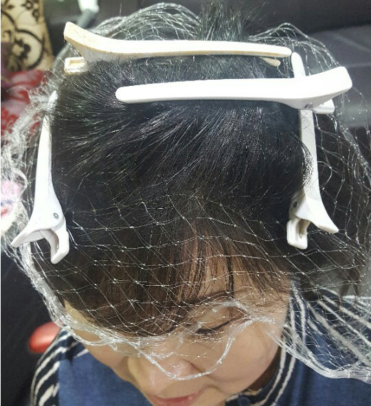 mesh2.jpg