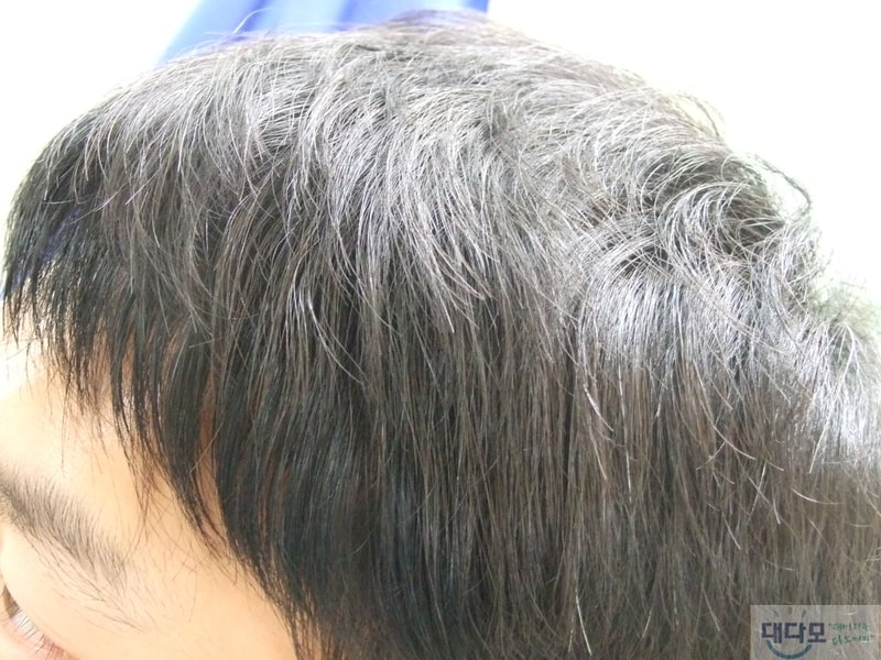 사진 010.jpg