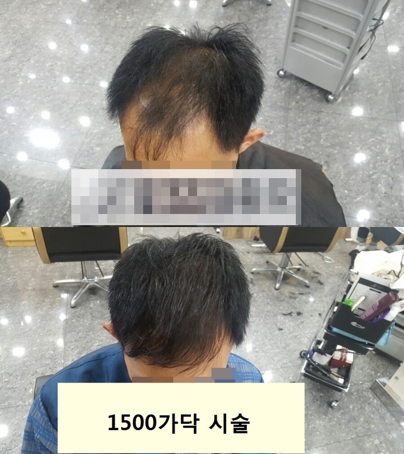 1500.jpg