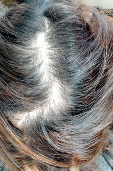 20141018_1047165.jpg