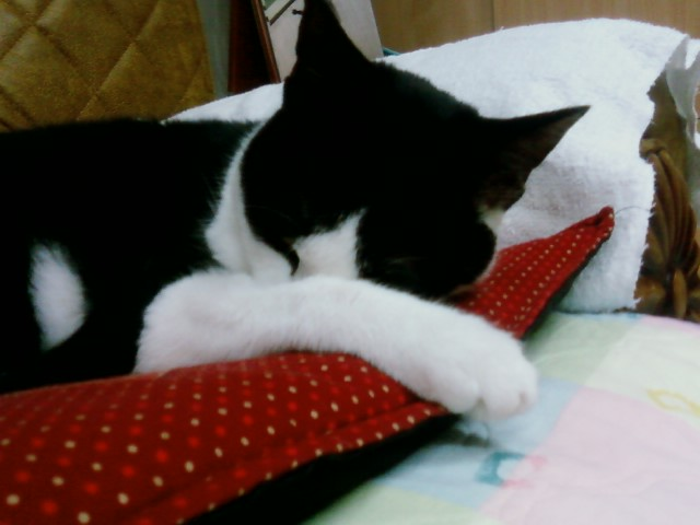 ㅁㄴㅇ.bmp