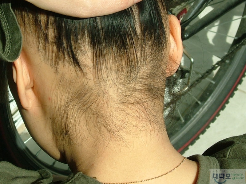 2010040201.JPG