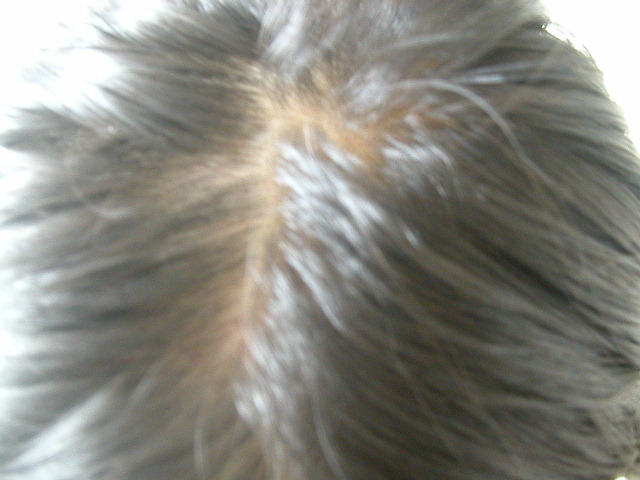 DSCN2557.JPG