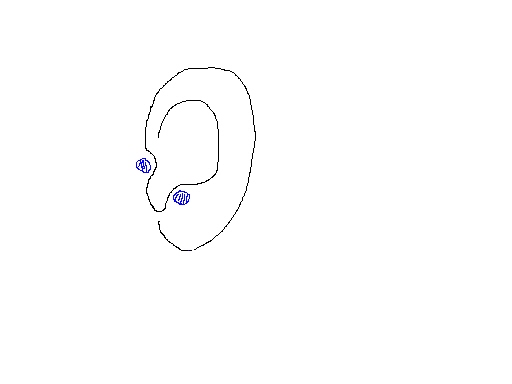 ear.jpg