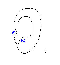ear_1.jpg